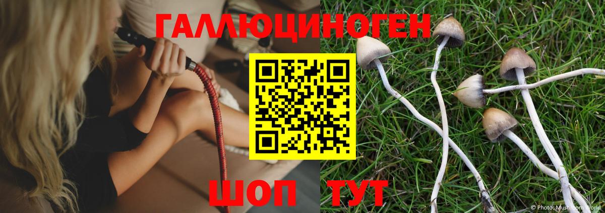 Псилоцибиновые грибы Psilocybine cubensis Орёл