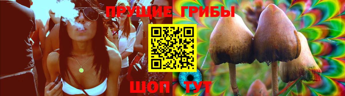 Псилоцибиновые грибы GOLDEN TEACHER  Псилоцибиновые грибы прущие грибы  Орёл  Вход с VPN 